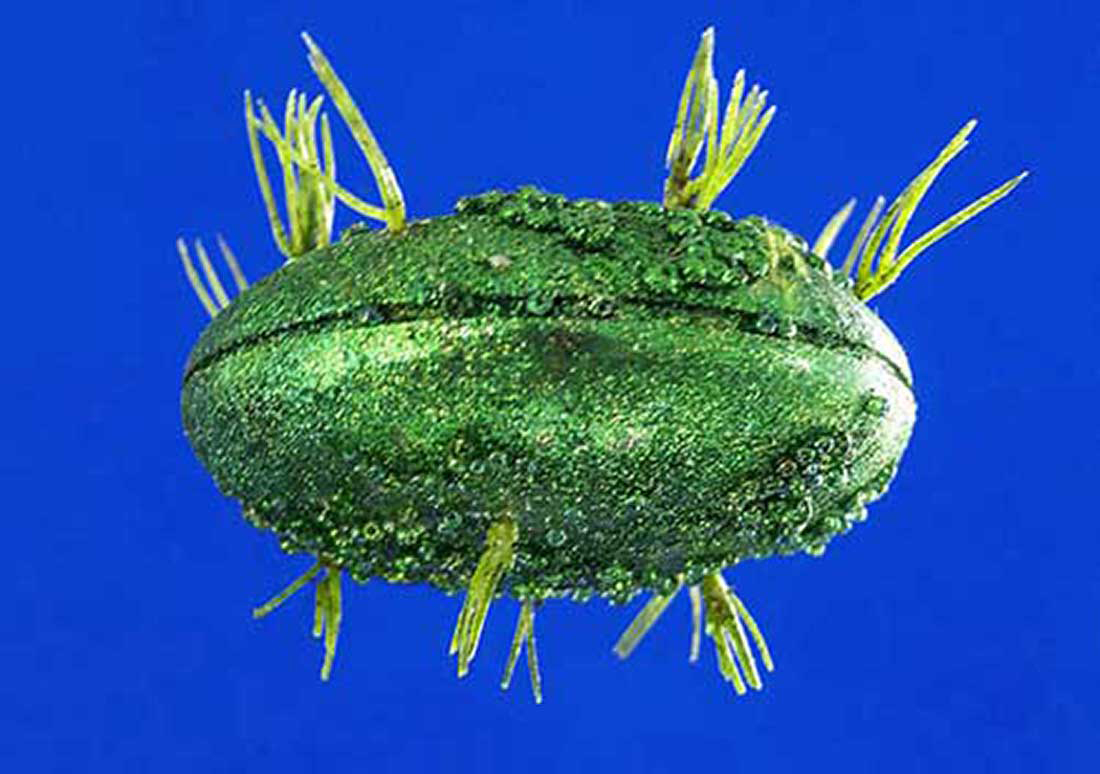 aktuell1